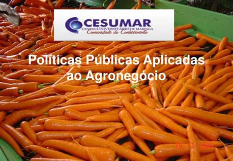 PPT Políticas Públicas Aplicadas ao Agronegócio PowerPoint