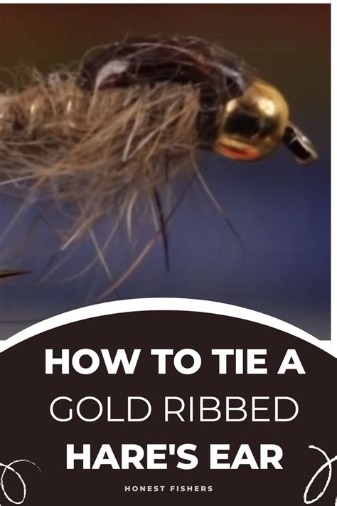 How To Tie A Gold Ribbed Hares Ear Fly Fishing Flies Pattern Fly