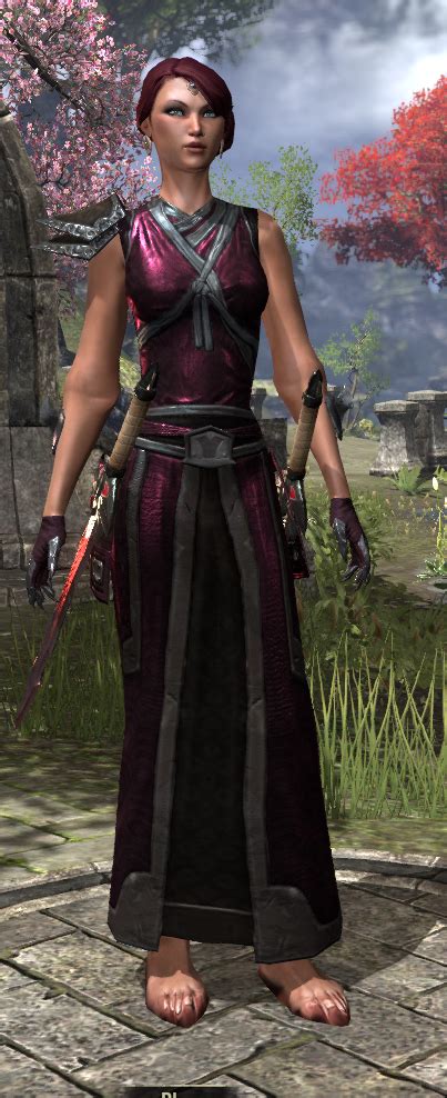 My Character Is Nude And So Are The Npcs Is This Happening To Anybody Else Page Elder