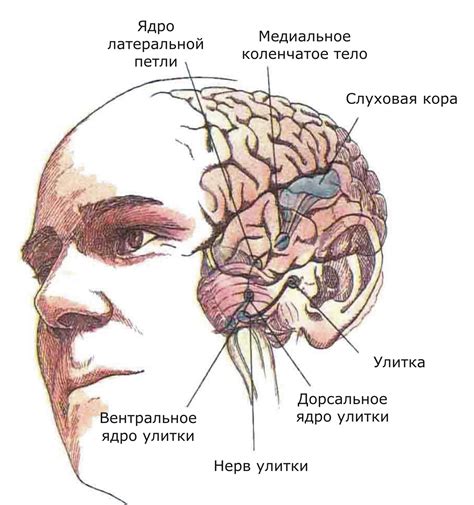 Ощущение