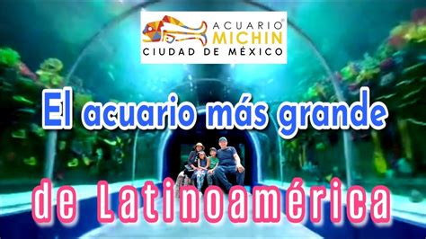 RECORRIDO POR EL ACUARIO MICHIN CDMX Todo Lo Que Debes Saber YouTube