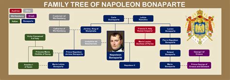 Napoleon Family 2024 - Lelia Karola