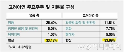 영풍·mbk 고려아연 공개매수 후 자사주 소각 등 주주환원 강화 머니투데이