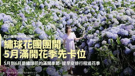 【y小編帶你吃喝玩樂】繡球花團團開～5月滿開花季先卡位