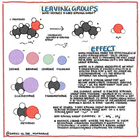 Organic Chemistry Educational Infographics Meso Compounds And Achiral