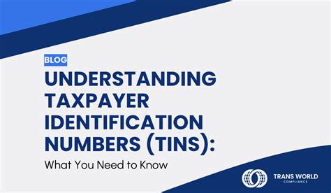 Understanding Taxpayer Identification Numbers Tins What You Need To Know