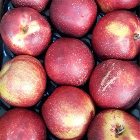 Royal Gala Apples