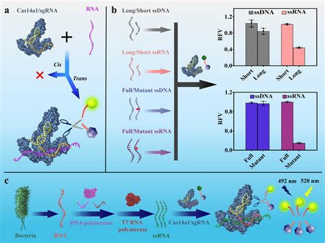 海南大学万逸教授课题组在《angew Chem Int Ed》发表论文 海南大学新闻网