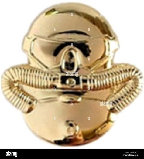 Diver Badge Usmc Stock Photo Alamy