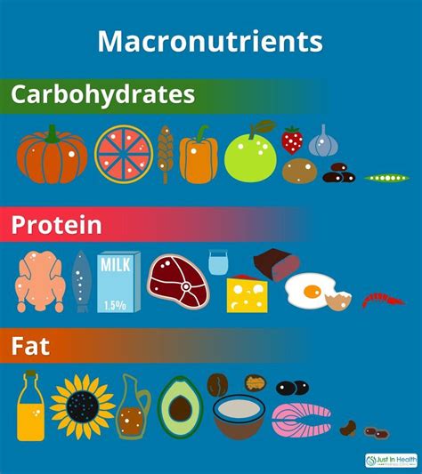 Today S Blog Post We Are Going To Review The Nutrition Basics