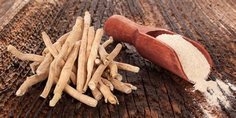 Ashwagandha Plant Benefits Dosage And Side Effects Superfoodly