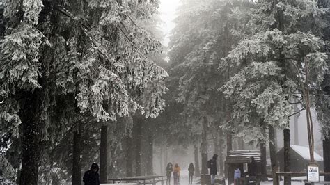 Galerie Der erste Schnee in den Höhenlagen des Schwarzwalds