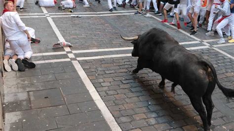 San Ferm N Los Toros Para Los Encierros Y La Feria Del Toro De