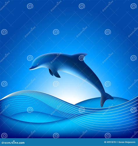 Vector Dolphin Stock Vector Illustration Of Line Swimming