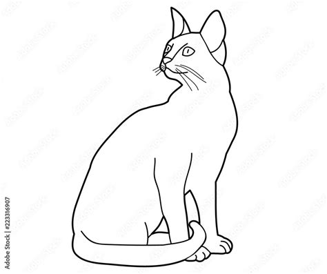 Cat Sitting Down Outline