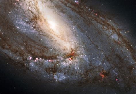 Hubble's take on the Messier catalog is stunning to behold