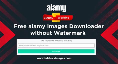 Best Alamy Downloader Tools Enhancing Your Image Acquisition Process