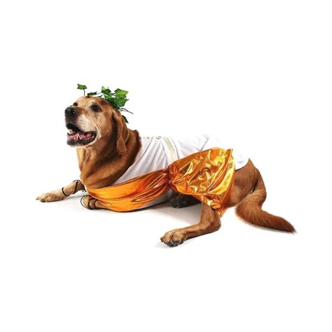 Midlee Toga Dog Costume