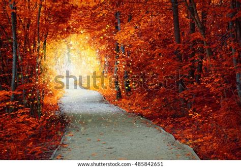 Magical Autumn Forest Path Fantastic Glow Stock Photo (Edit Now) 485842651