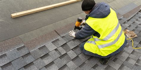 Best Shingle Roof Guide Roofing Materials In Tampa Bay John Hogan