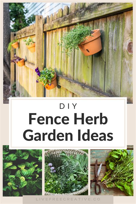 Hanging Plants On Fence Hanging Herb Gardens Hanging Herbs Diy