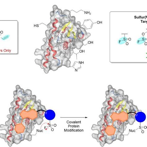 Approaches To Covalent Protein Modification In Chemical Biology And