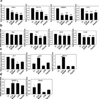 Molecular insights into the mechanisms by which chronic PRR activation... | Download Scientific ...