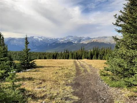 10 Best Cross Country Skiing Trails In Kananaskis Country Public Land