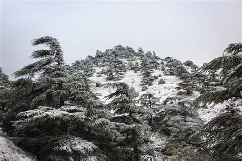 Snowstorm On Top Of A Mountain Bathed In Golden Morning Sun