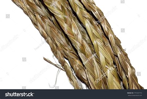 Traditional Sweetgrass Braids Stock Photo 779187772 Shutterstock