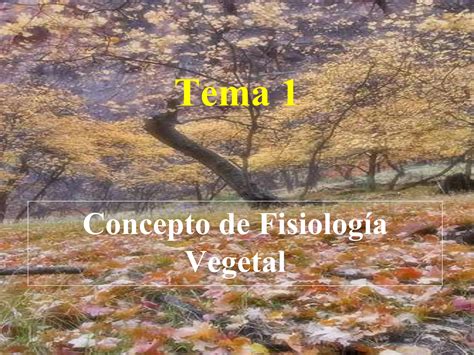 Tema Introduccion A La Fisiologia Vegetal Ppt