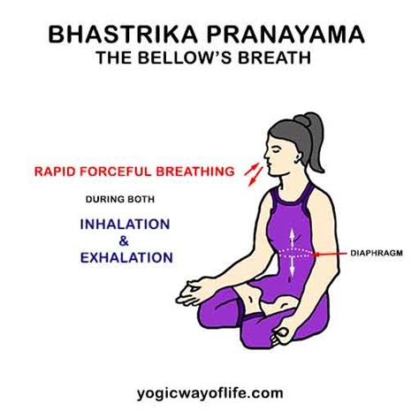 Bhastrika Pranayama The Bellows Breath Yogic Way Of Life