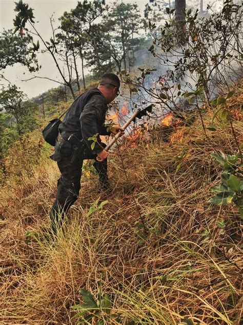 Agentes Policiales Colaboran En Sofocar Incendio Forestal En Cerro La