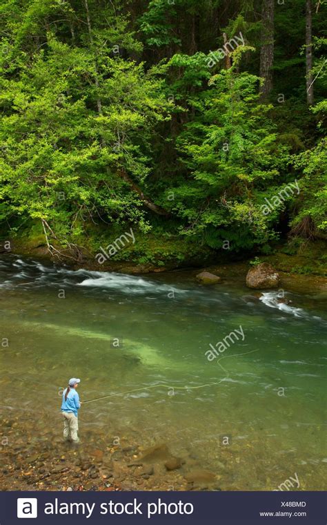 Fly Fishing River High Resolution Stock Photography And Images Alamy