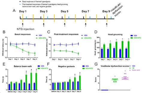 Recurrent Nitroglycerine Ntg Injection Induced Thermal Hyperalgesia