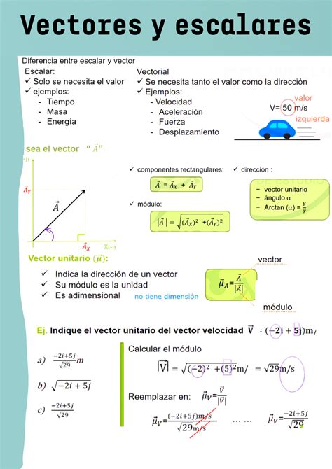 Solution Vectores Y Escalares Studypool