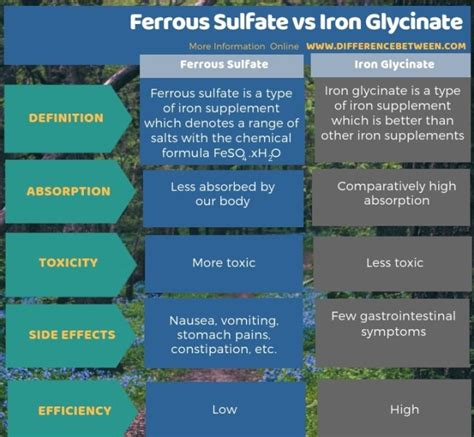 Difference Between Ferrous Sulfate and Iron Glycinate | Compare the ...