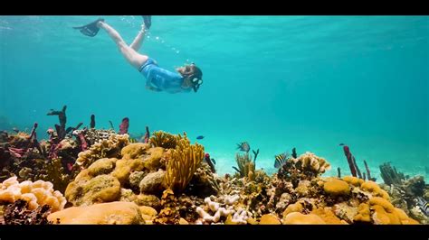 Belize Snorkeling