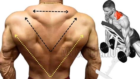 5 Best Back Exercises To Get Bigger Back Fast Musculation Dos RÉsultat Rapide Effective