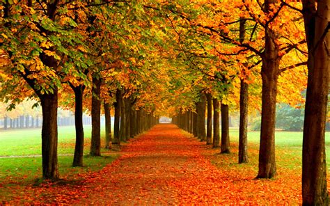 Paisajes de otoño | Descargar imágenes gratis