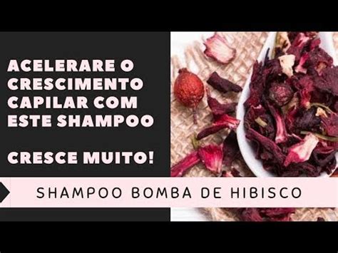 Como Fazer Shampoo De Hibisco Simples E R Pido Youtube