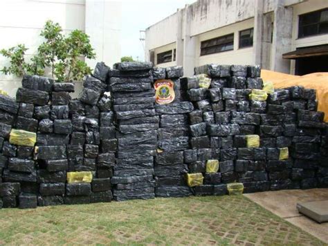 Na Maior Apreens O Do Ano Pf Encontra T De Maconha Em Ms