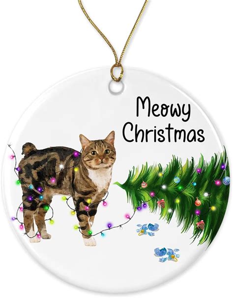 Amazon HTDesigns Manx Cat Christmas Ornament Funny Cats