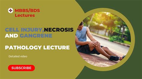 Cell Injury Necrosis And Gangrene Pathology Lecture Mbbs Bds Second