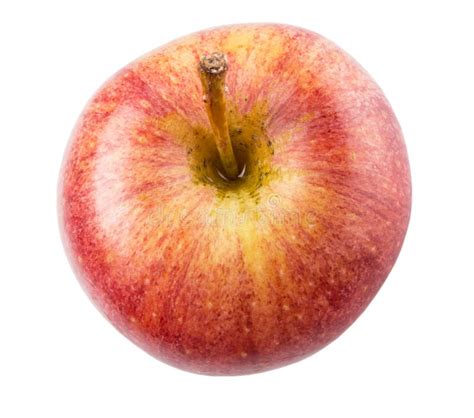 Royal Gala Apple Iv Stock Photo Image Of Aromatic Isolated 47268674
