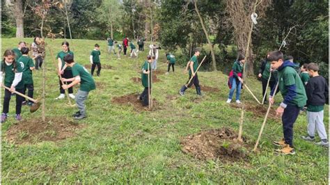 Escolares del Santiago Apóstol plantan 40 robles entre Freixeiro y