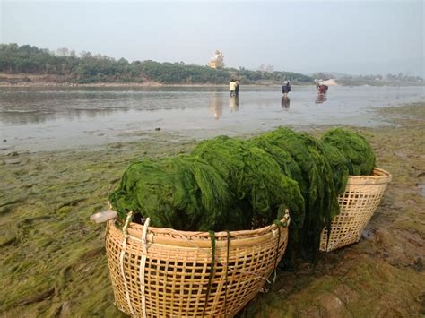 Effects, Changes, and What Remains of The Mekong River. – The Mekong School