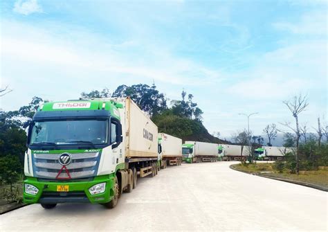 giai phap logistic qua cua khau quoc te nam giang cho doanh nghiep viet