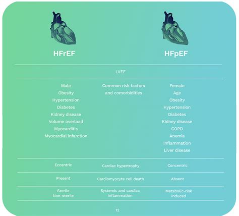 what is hfpef guide - Ultromics