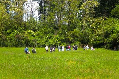 PASQUETTA AL BOSCO WWF DI VANZAGO Bosco WWF Di Vanzago